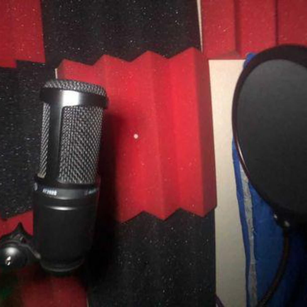 Microphone - Picture 3 of 3